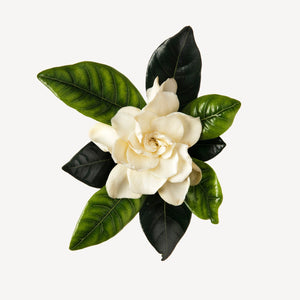 Fragrance Ingredients Image 4