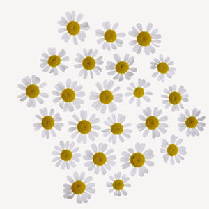 Fragrance Ingredients Image 5