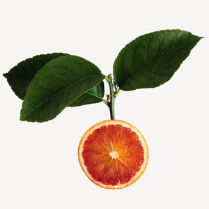 Fragrance Ingredients Image 2