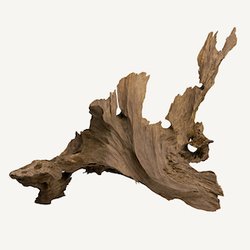 Fragrance Ingredients Image 2