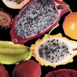 Fragrance Ingredients Image 5