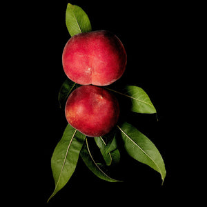 Fragrance Ingredients Image 5