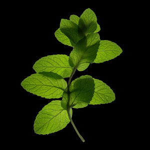 Fragrance Ingredients Image 5