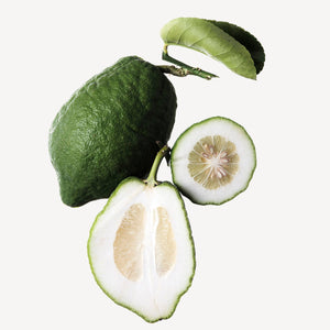 Fragrance Ingredients Image 1