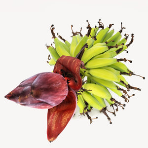 Fragrance Ingredients Image 2