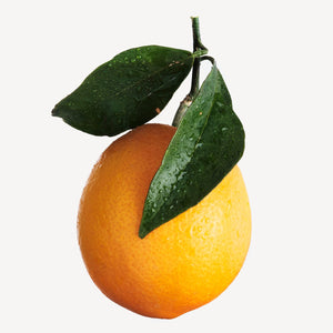 Fragrance Ingredients Image 4