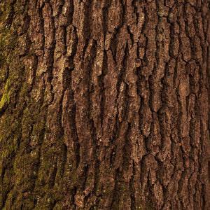 Fragrance Ingredients Image 4
