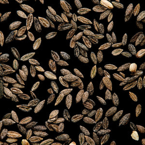 Fragrance Ingredients Image 5