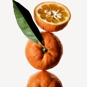 Fragrance Ingredients Image 3