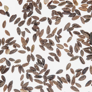 Fragrance Ingredients Image 3