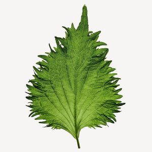 Fragrance Ingredients Image 3