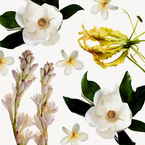 Fragrance Ingredients Image 4