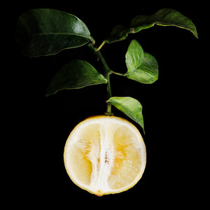 Fragrance Ingredients Image 2