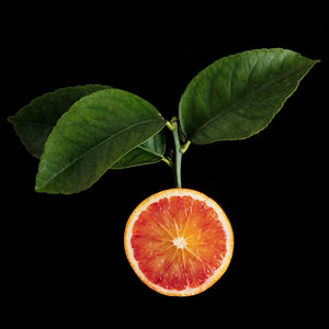 Fragrance Ingredients Image 1