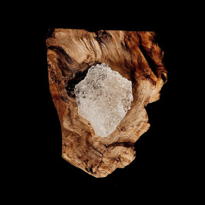 Fragrance Ingredients Image 5