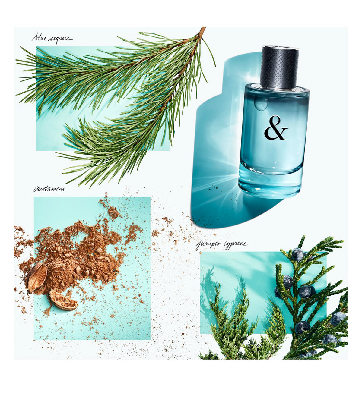 Tiffany & Co Love Him Edt Spray 90ml - PerfumezDirect®