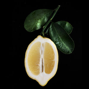 Fragrance Ingredients Image 2