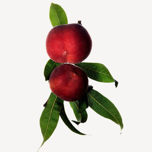 Fragrance Ingredients Image 3