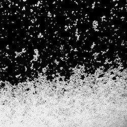 Fragrance Ingredients Image 3
