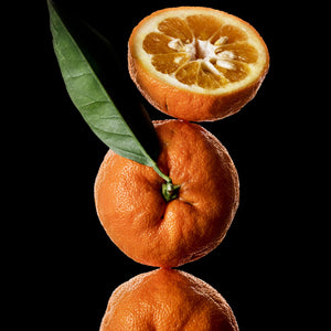 Fragrance Ingredients Image 2