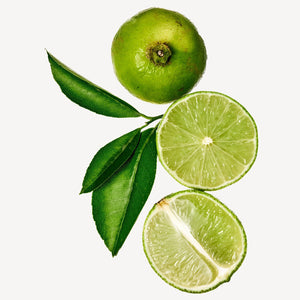 Fragrance Ingredients Image 1