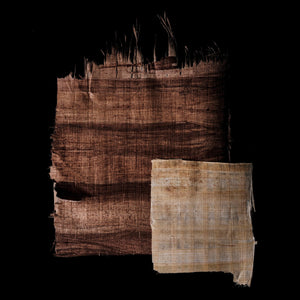 Fragrance Ingredients Image 5