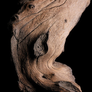 Fragrance Ingredients Image 1