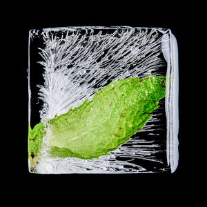 Fragrance Ingredients Image 4