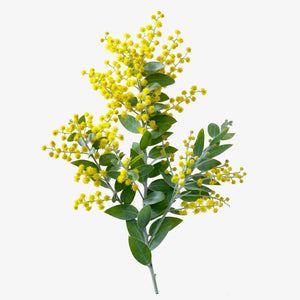 Fragrance Ingredients Image 4