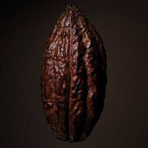 Fragrance Ingredients Image 3