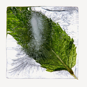 Fragrance Ingredients Image 2