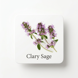 Fragrance Ingredients Image 5