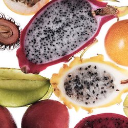 Fragrance Ingredients Image 3
