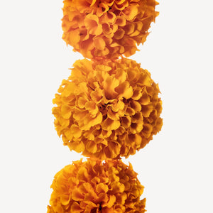 Fragrance Ingredients Image 1