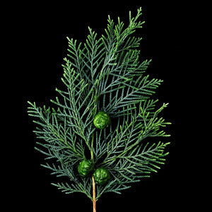 Fragrance Ingredients Image 2