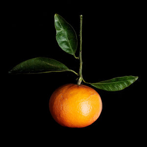 Fragrance Ingredients Image 3