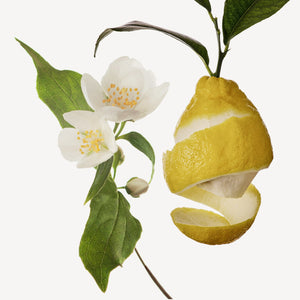 Fragrance Ingredients Image 2