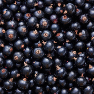 Fragrance Ingredients Image 1