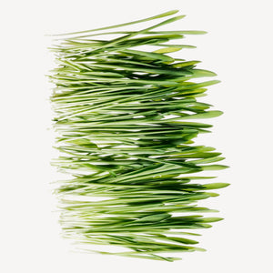 Fragrance Ingredients Image 4
