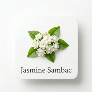 Fragrance Ingredients Image 1
