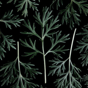 Fragrance Ingredients Image 5