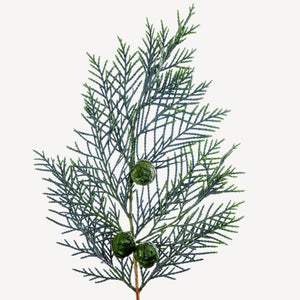 Fragrance Ingredients Image 4