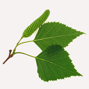 Fragrance Ingredients Image 2