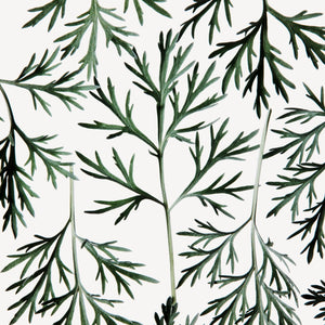 Fragrance Ingredients Image 2