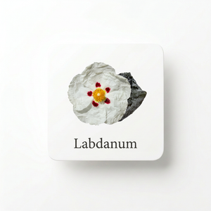Fragrance Ingredients Image 2