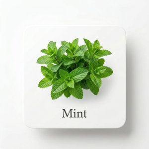 Fragrance Ingredients Image 4