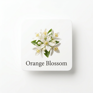 Fragrance Ingredients Image 1