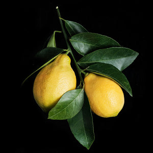 Fragrance Ingredients Image 5