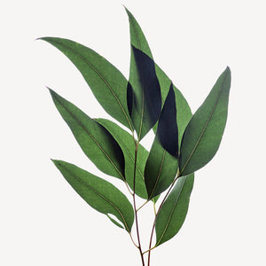 Fragrance Ingredients Image 5