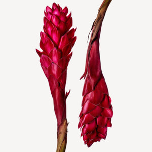 Fragrance Ingredients Image 4